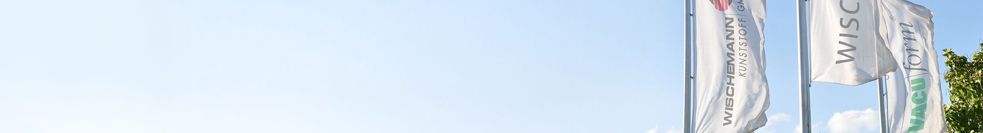 Eine Gruppe von Flaggen mit einem Baum im Hintergrund.