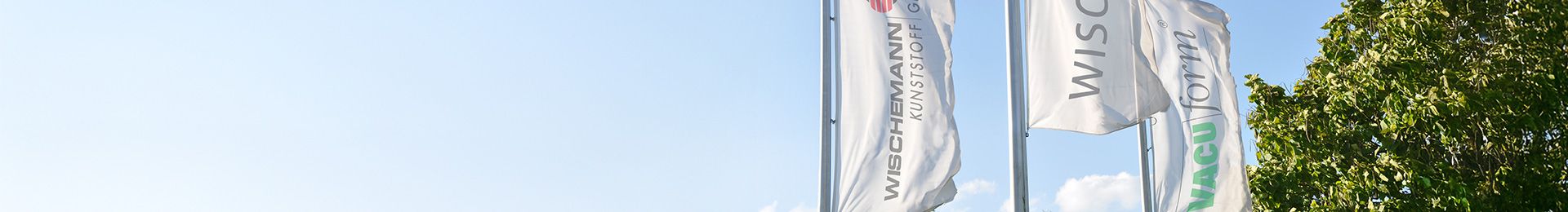A group of flags with a tree in the background.