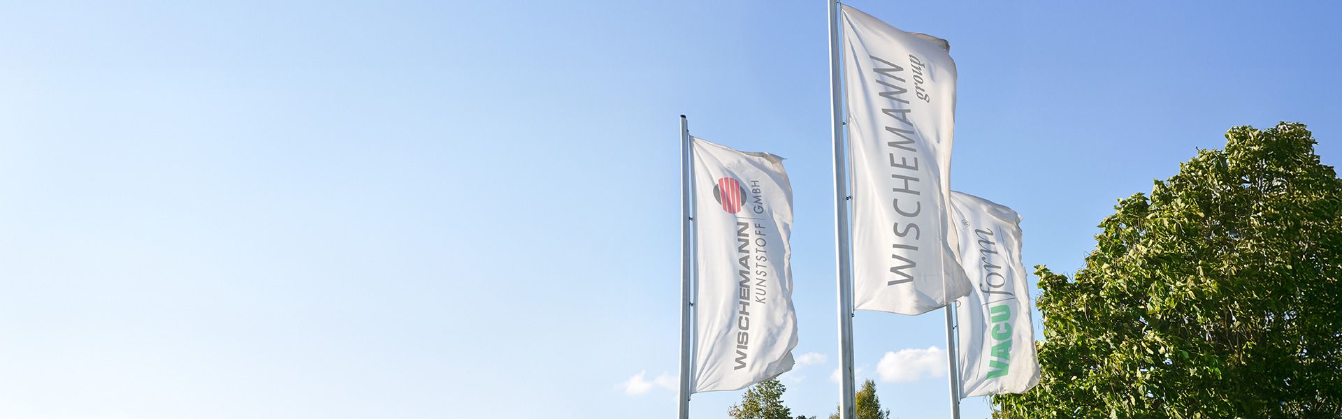 A group of flags with a tree in the background.