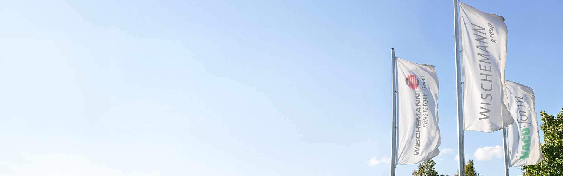 A group of flags with a tree in the background.
